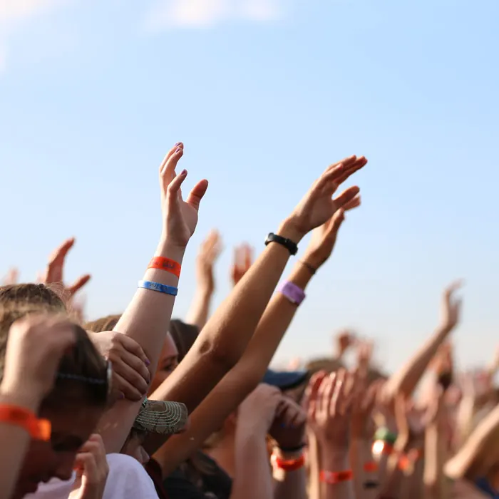 Fans raising their hands during a Lifest concert